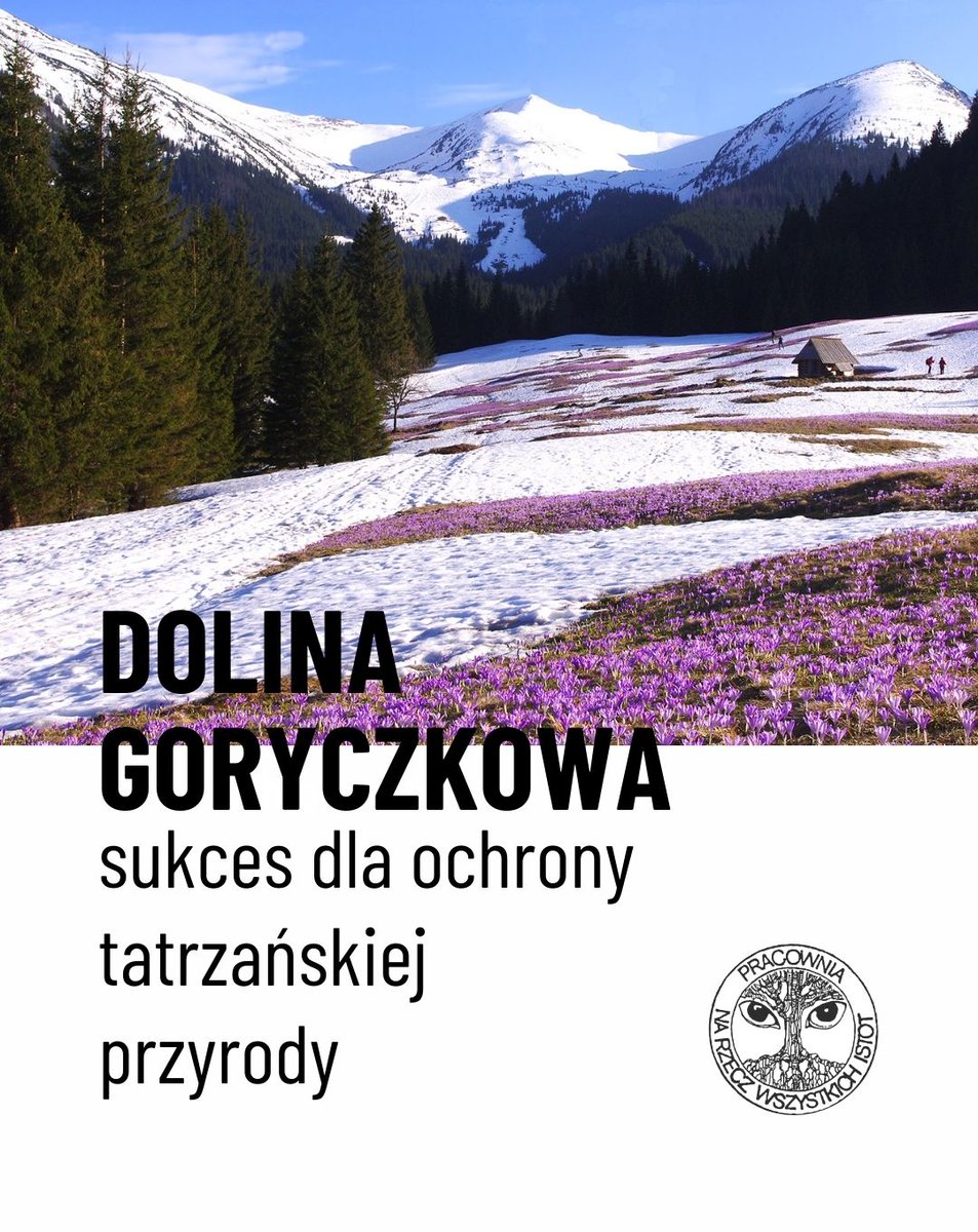 🏔️🌱 Mamy pierwszy sukces ws. rozbudowy wyciągu w dolinie Goryczkowej na terenie Tatrzańskiego Parku Narodowego. 
Inwestorem tego przedsięwzięcia są Polskie Koleje Linowe. Dziś Wojewódzki Sąd Administracyjny w Krakowie uwzględnił nasz wniosek i wstrzymał wykonanie decyzji