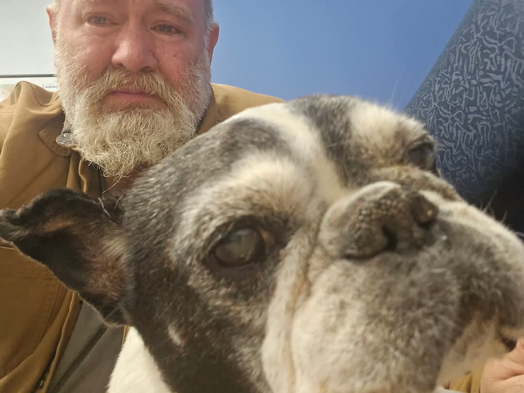 Frenchies Vibe tweet media