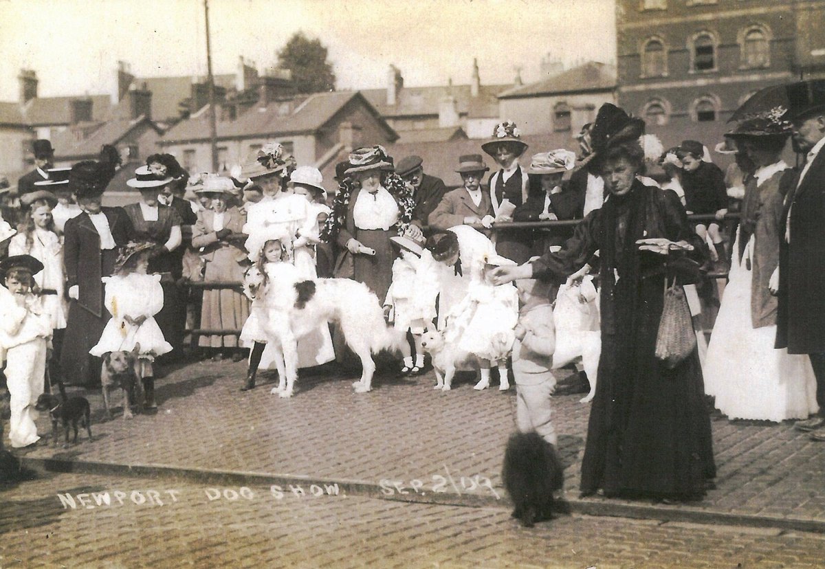 Archives Wales (@archiveswales) on Twitter photo This wonderful photograph of a dog show in Newport is from September 1909.
It is probably from the second annual dog show of The Newport and District Canine Society.
We hope all the dogs enjoyed themselves (and the humans too).
Item from <a href="/GwentArchives/">Gwent Archives</a>
#Crufts2025
🐶 This wonderful photograph of a dog show in Newport is from September 1909.
It is probably from the second annual dog show of The Newport and District Canine Society.
We hope all the dogs enjoyed themselves (and the humans too).
Item from <a href="/GwentArchives/">Gwent Archives</a>
#Crufts2025
🐶