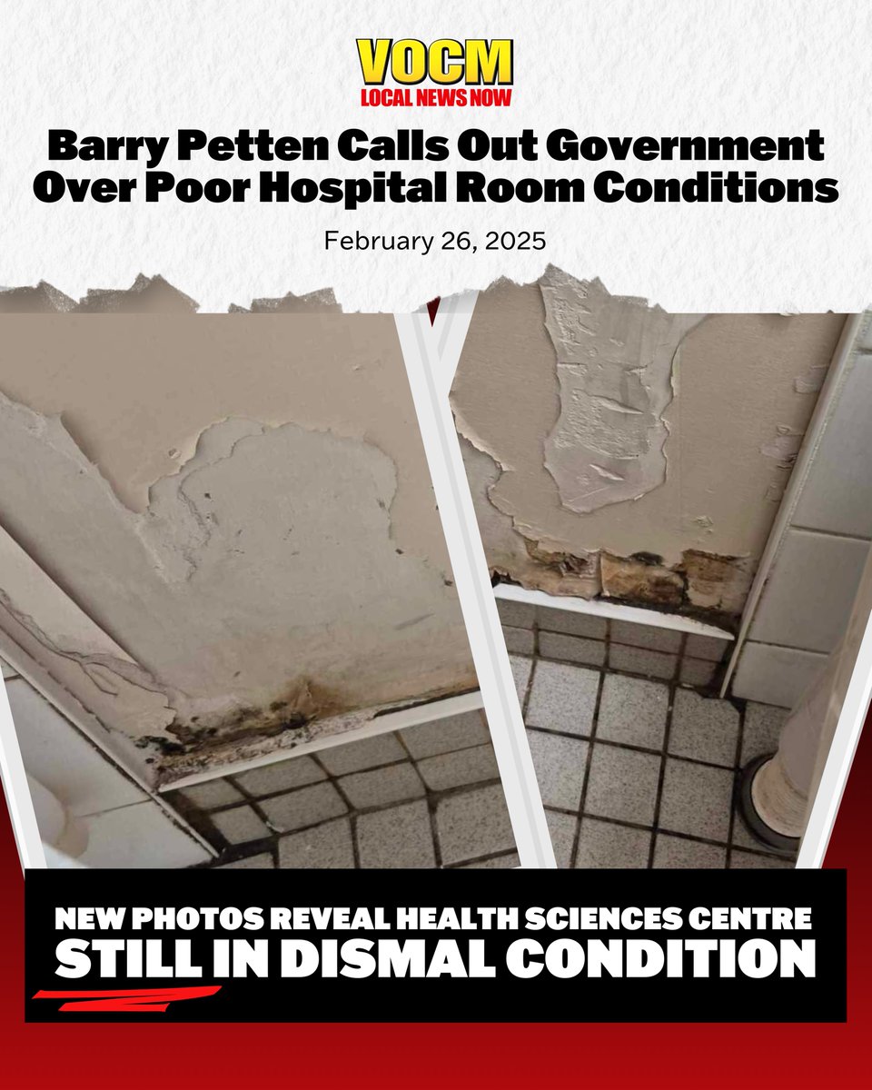 After 10 years of Liberal government, patients are facing unsafe, filthy conditions in our hospitals.

A Wakeham PC government will focus on delivering better healthcare for all of us.

#nlpoli