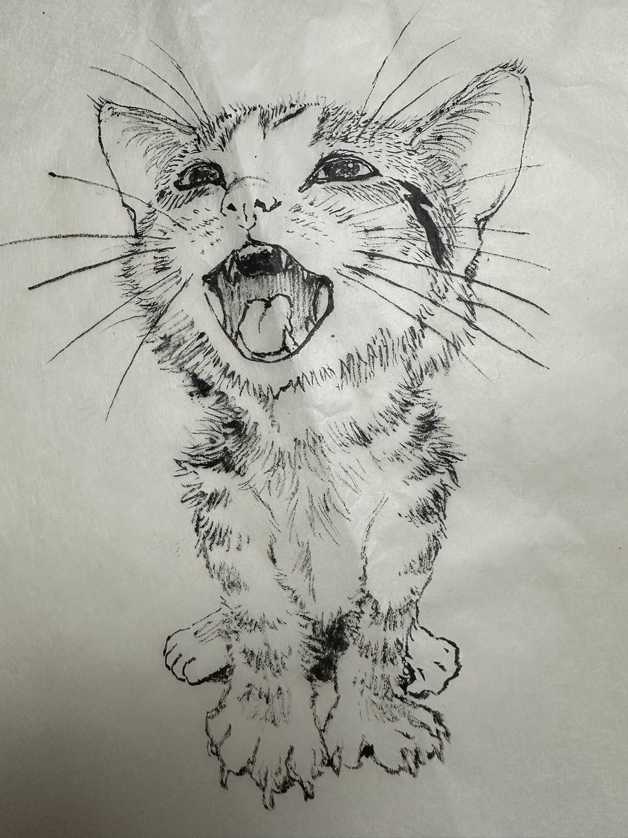 猫絵展でこちらの絵をお買上げになった方、DMいただけると幸いです。よろしくお願い致します