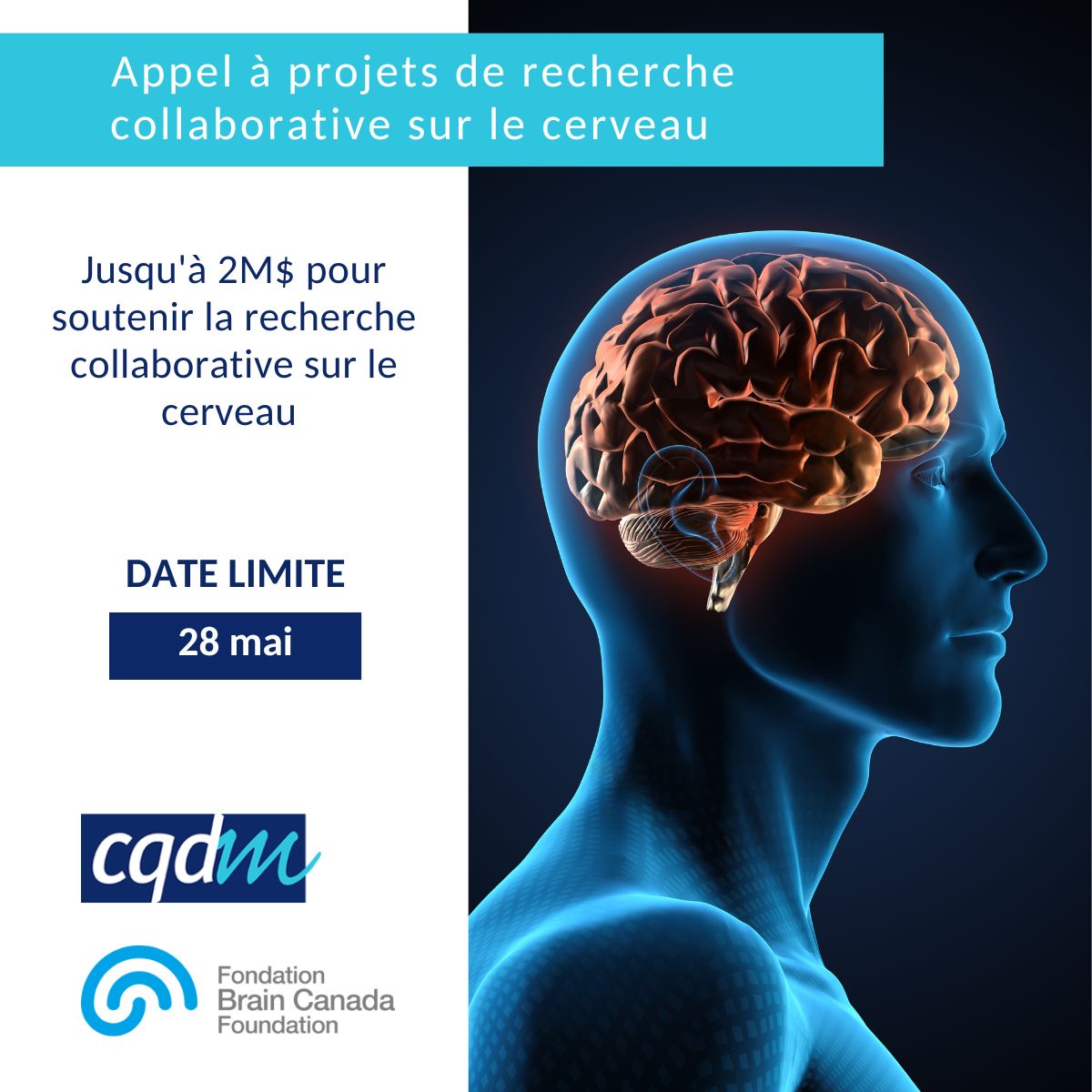 CQDM (@cqdm_canada) on Twitter photo 💸Nouvelle opportunité de financement! 
🧠Jusqu'à 2M$ pour soutenir vos projets de recherche collaborative sur le cerveau.
🗓️ La date limite pour participer à la ronde de sélection avec une application complète : 28 mai 2025
🔗 Pour plus d'information : lnkd.in/exTdCfGW 💸Nouvelle opportunité de financement! 
🧠Jusqu'à 2M$ pour soutenir vos projets de recherche collaborative sur le cerveau.
🗓️ La date limite pour participer à la ronde de sélection avec une application complète : 28 mai 2025
🔗 Pour plus d'information : lnkd.in/exTdCfGW