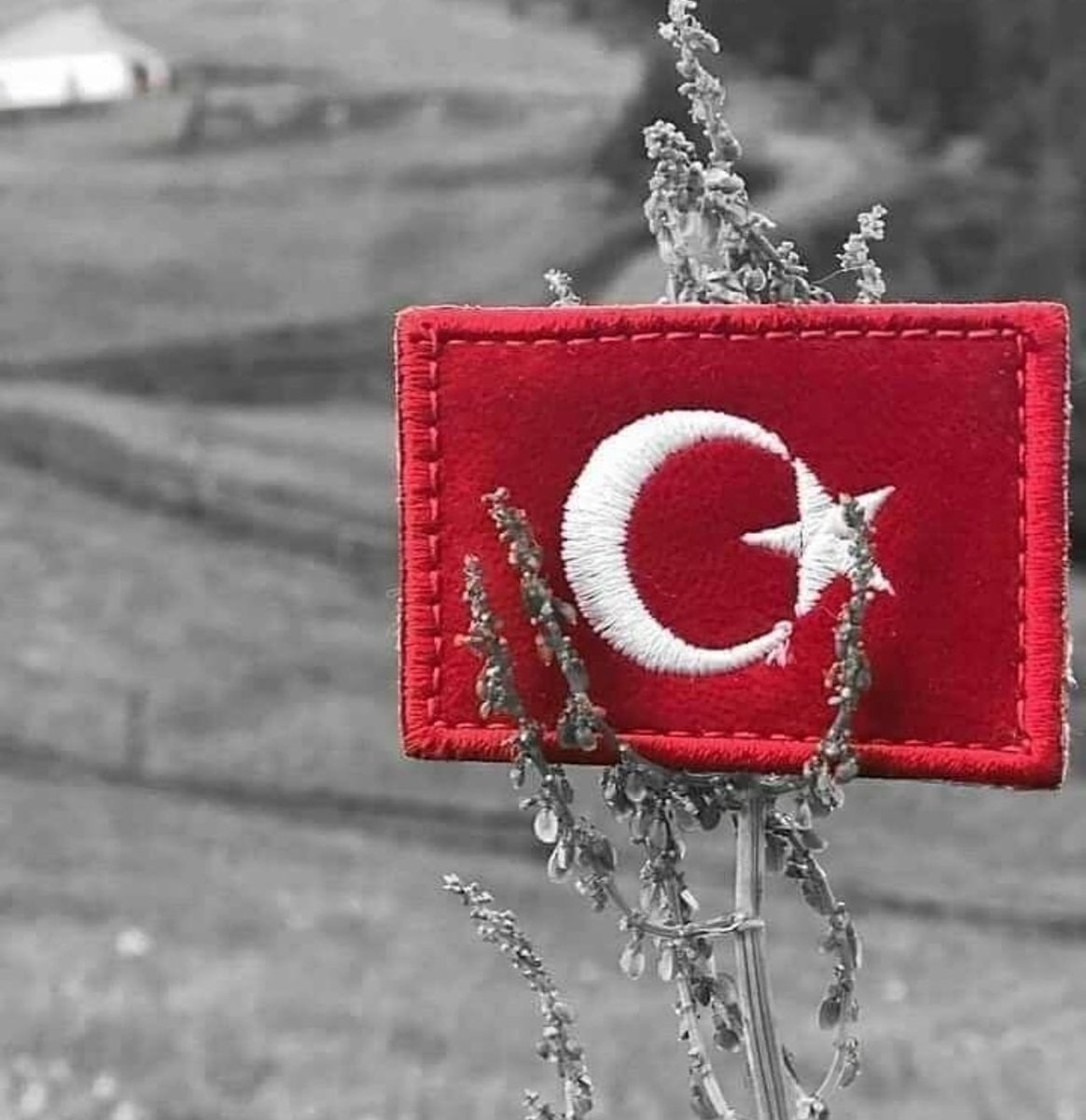 ysfsknmz1903's tweet photo. Ne Mutlu Türküm Diyene 🇹🇷 https://t.co/BMjaL1JKpL