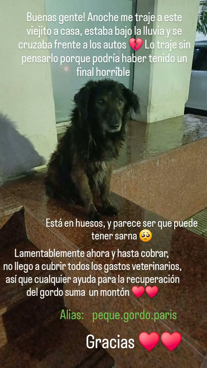 🆘️🆘️🆘️🥺