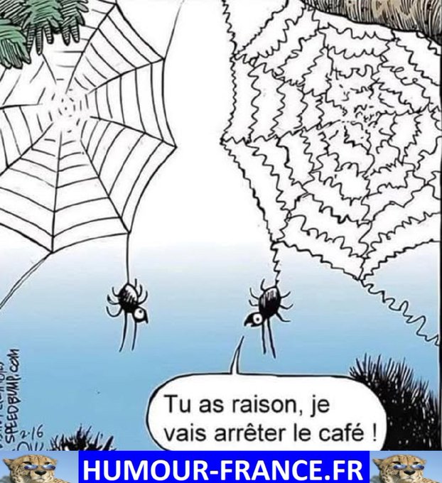 text alternatif