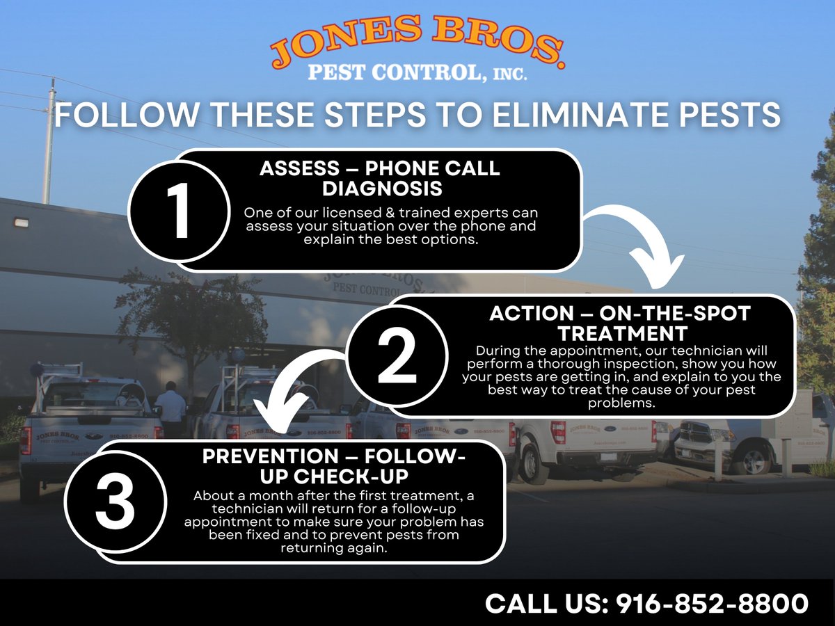 Jones Brothers Pest Control (@jonesbrospest) on Twitter photo Tip: Prevention is the best defense! Keep your home clean, sealed, and pest-free.
Follow these simple steps and say goodbye to pests!
Visit our website: jonesbrospc.com
Call us at: 916-852-8800
#PestControlMadeEasy #HomeHacks #sacramentopestcontrol #cheappestcontrol Tip: Prevention is the best defense! Keep your home clean, sealed, and pest-free.
Follow these simple steps and say goodbye to pests!
Visit our website: jonesbrospc.com
Call us at: 916-852-8800
#PestControlMadeEasy #HomeHacks #sacramentopestcontrol #cheappestcontrol