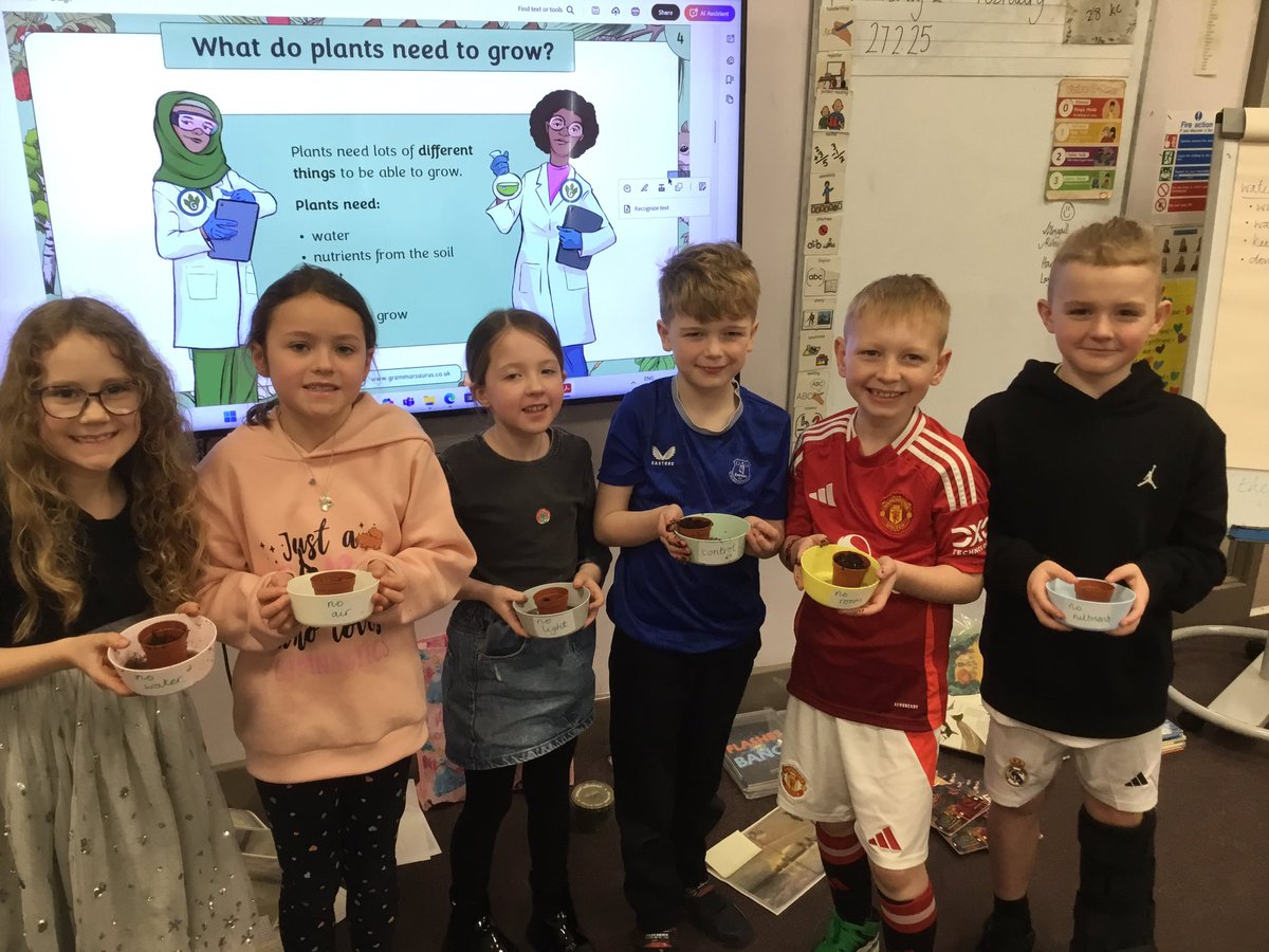 Year 3 SHPS tweet media