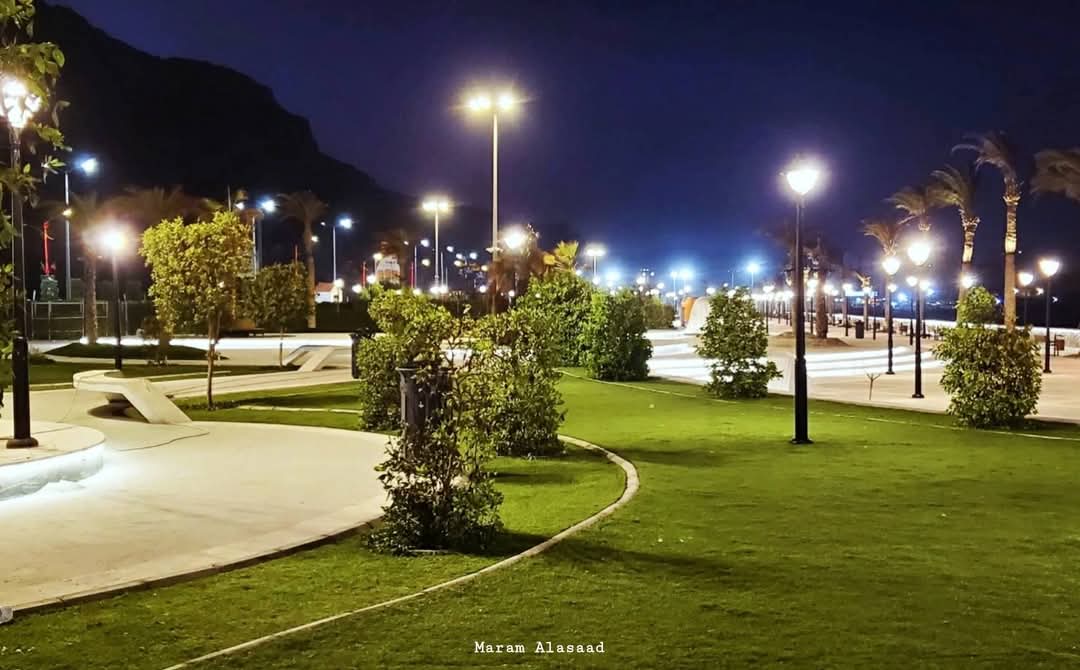 الصورة