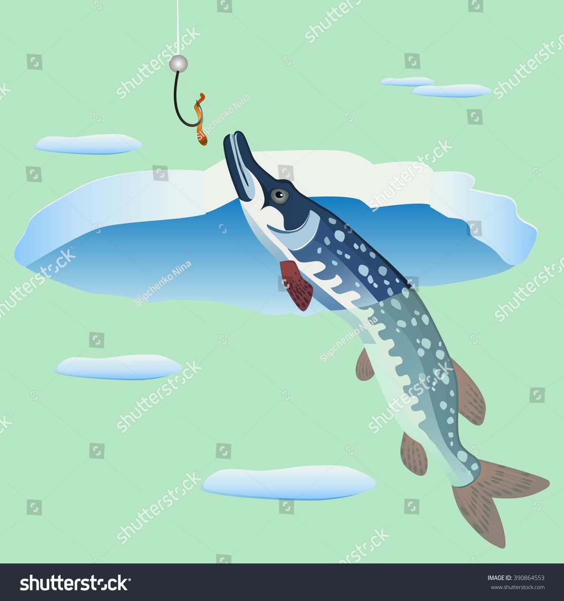 It's about to be a long weekend of chasing those elusive Northern Pike.  Good luck Iceholes let's get a trophy!