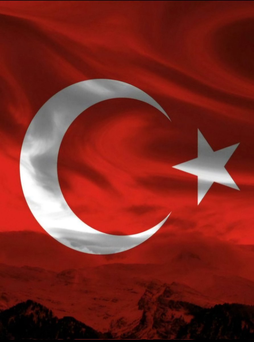 nilüfer tweet media
