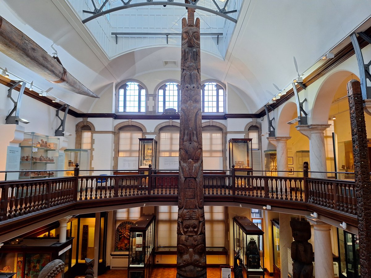 Museum of Archaeology and Anthropology tweet media