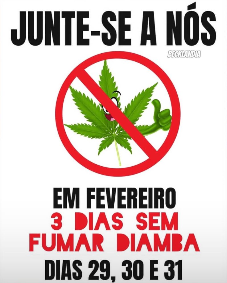 canabisbrasil's tweet image. 