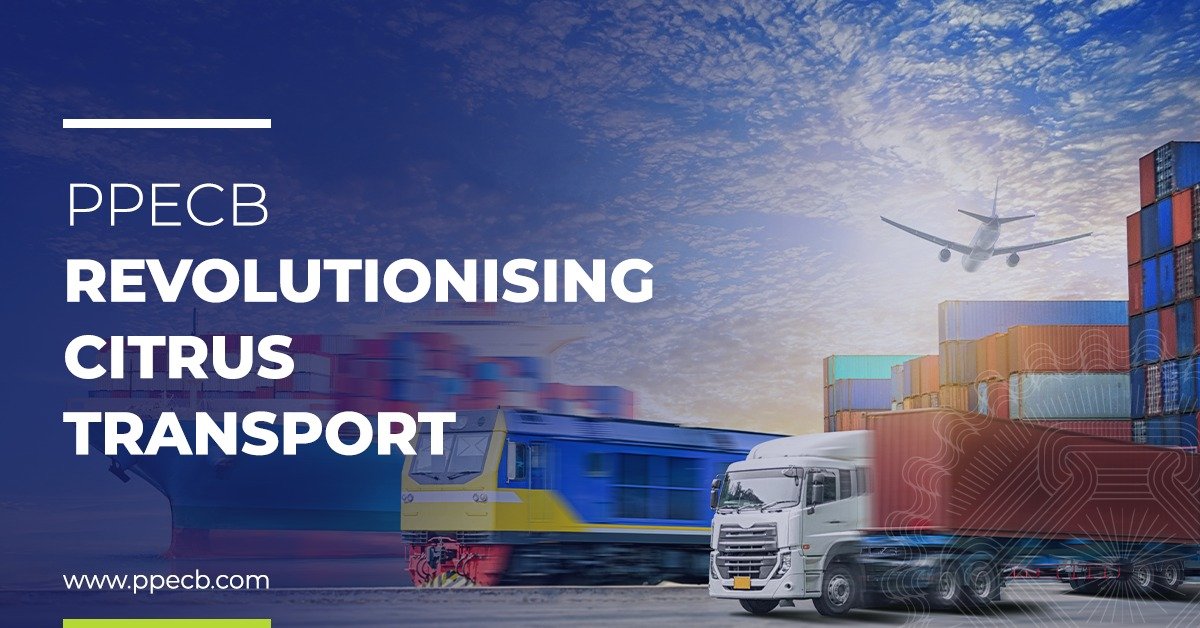 PPECB South Africa tweet media