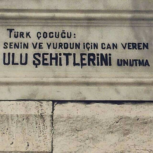 aleph (@4leph17) on Twitter photo 