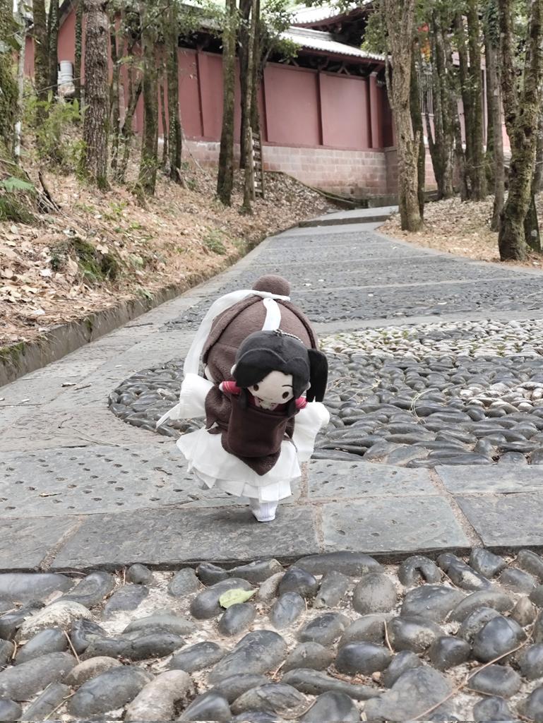 道长又到处捡孩子