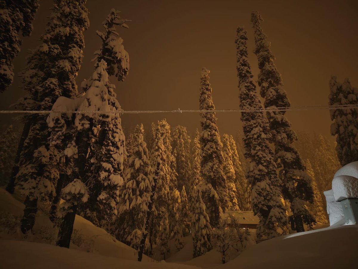 Gulmarg tonight ❄️

#snowfall #Gulmarg