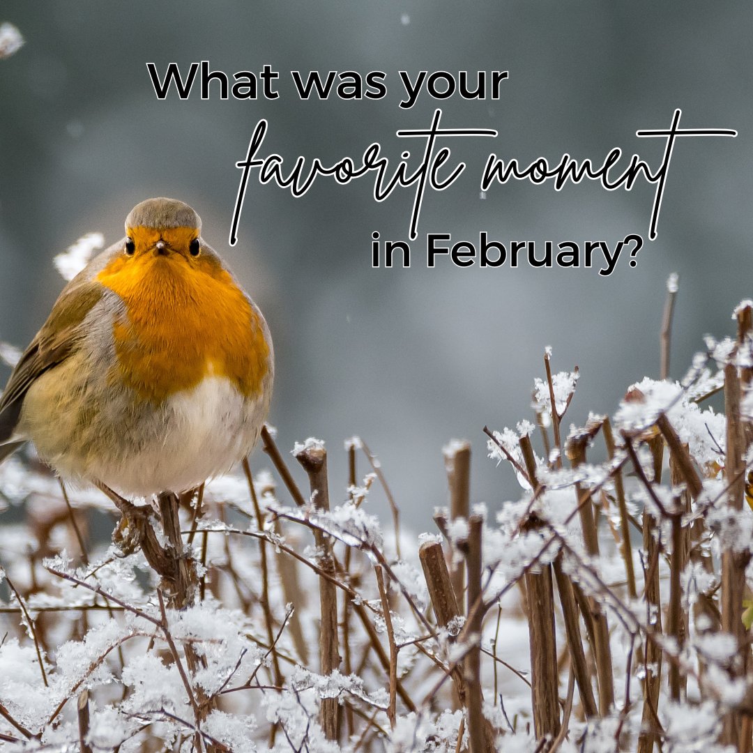 kickenlorie's tweet image. As February wraps up, what was your favorite moment of the month? Let’s celebrate the little wins and big joys! 🌟❄️ #februarymemories #sharethejoy #februaryfun #qotd