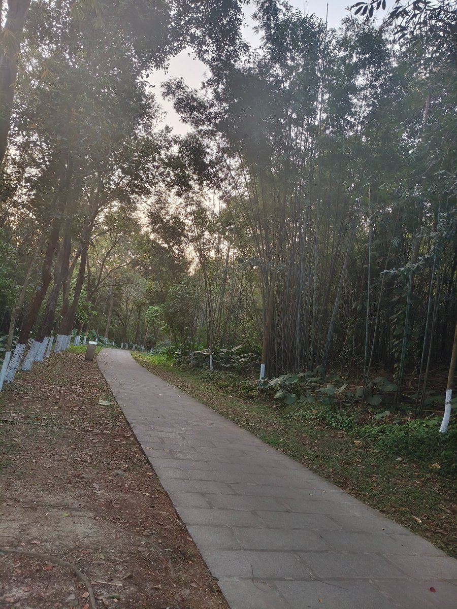 东莞同沙生态公园，在东城，位置有点偏，工作日白天人不多，晚上也人不多，适合裸野啊啊啊~