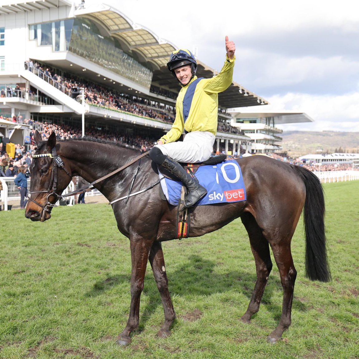 The Jockey Club has announced that this year's Supreme Novices' Hurdle will be run in memory of jockey Michael O'Sullivan 🕊️