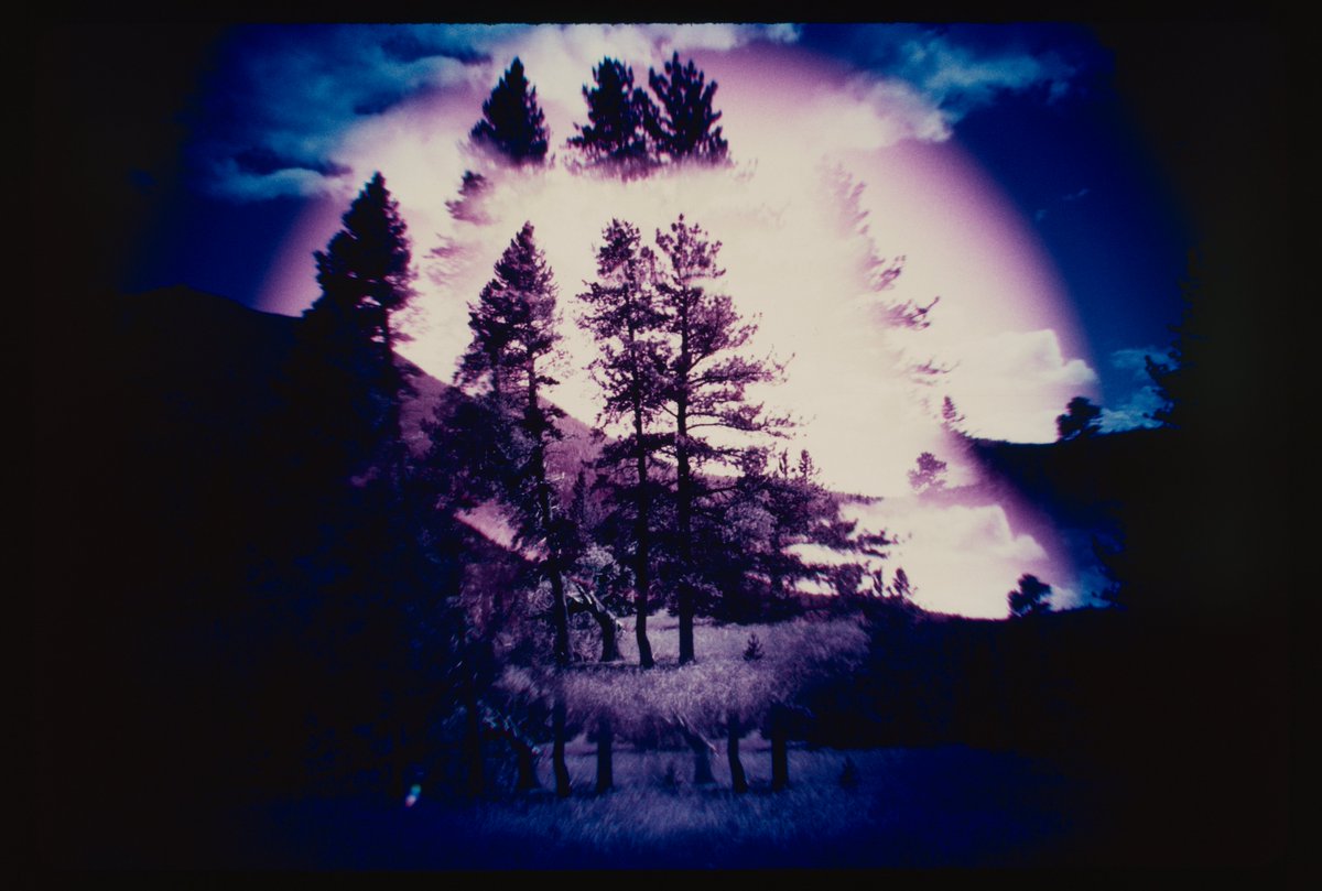 The Digital Archive tweet media