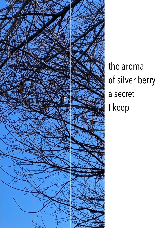 Biswajit Mishra (away from X) (@biswajitca) on Twitter photo 