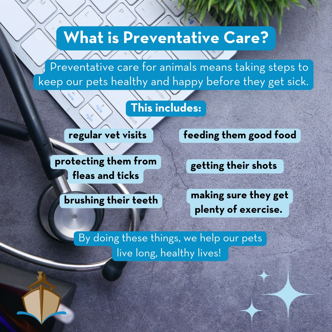 Keeping your furry friends healthy is a top priority, and preventative veterinary care is key to achieving that. Regular check-ups, vaccinations, and wellness screenings play a crucial role in catching potential health issues early.