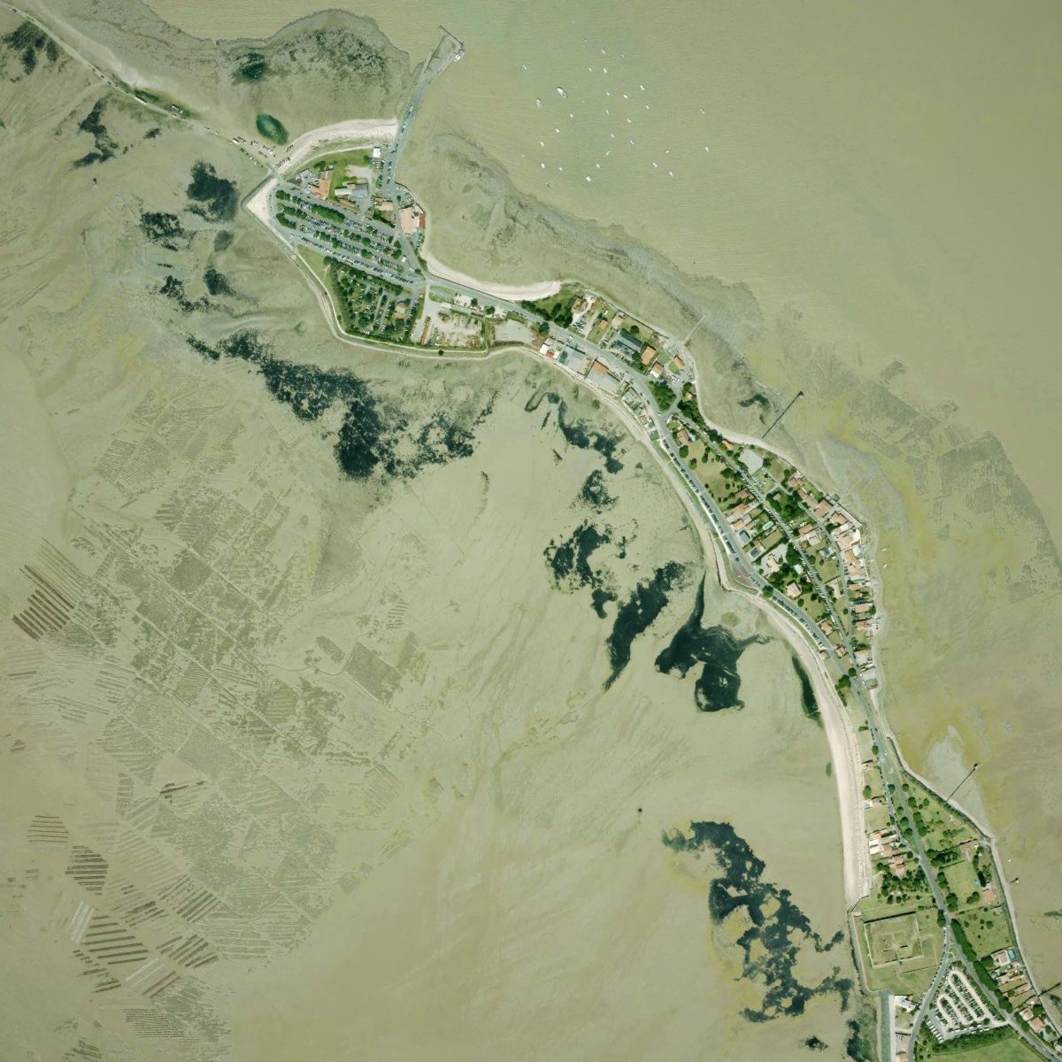 MapTiler tweet media