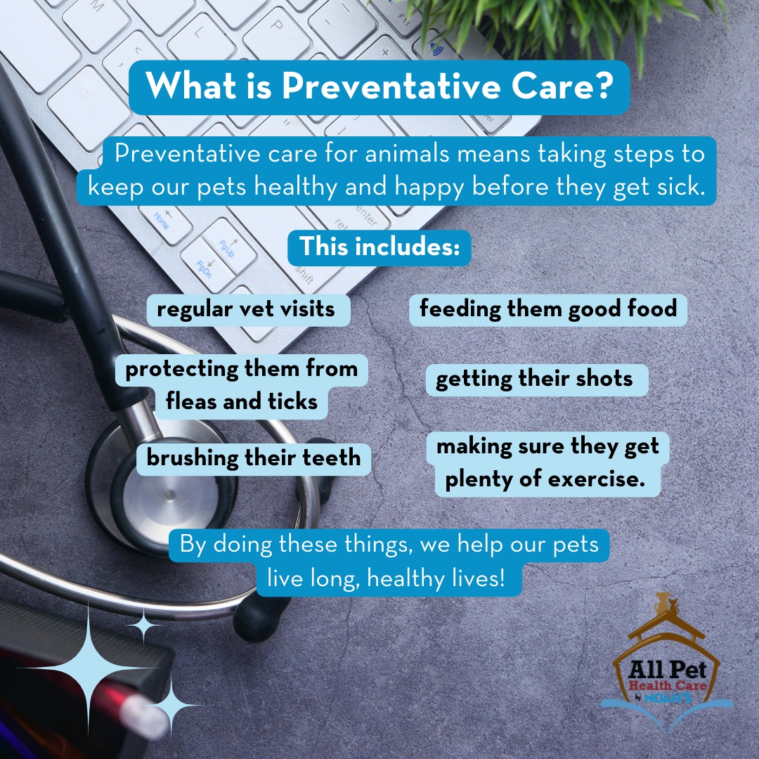 Keeping your furry friends healthy is a top priority, and preventative veterinary care is key to achieving that. Regular check-ups, vaccinations, and wellness screenings play a crucial role in catching potential health issues early.