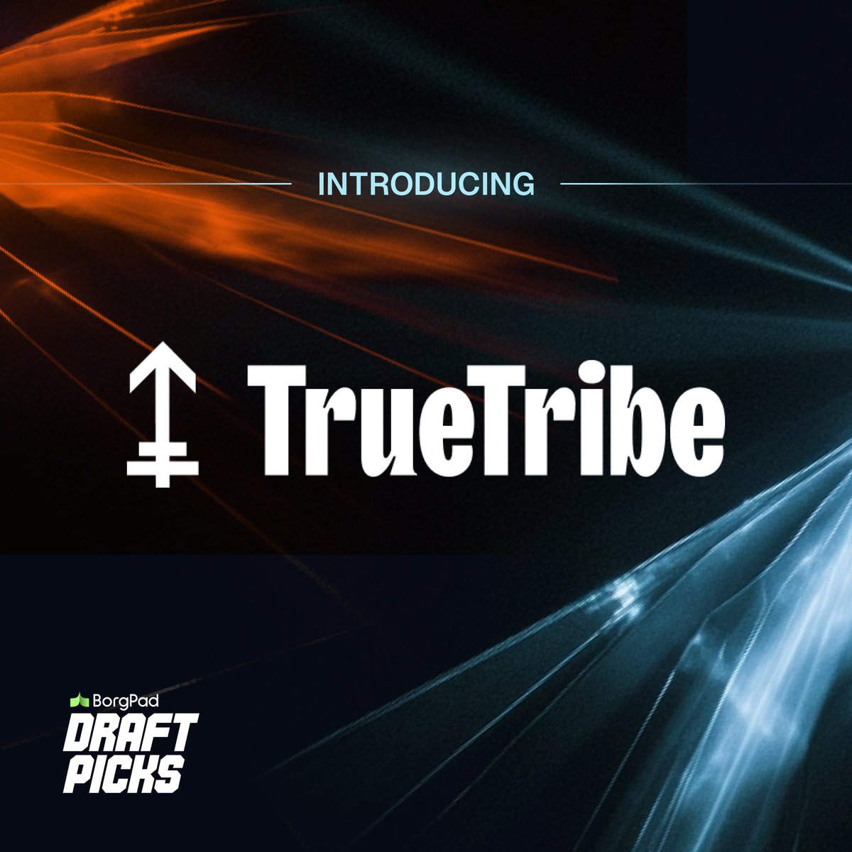 🚨 <a href="/TrueTribe_xyz/">TrueTribe</a> enters Draft Picks!

TrueTribe is now in the selection phase. The A-Z solution for Kick-Ass Airdrops! 💸

If you want to see this project launch on BorgPad, now is the time to make your commitment and show your support💪