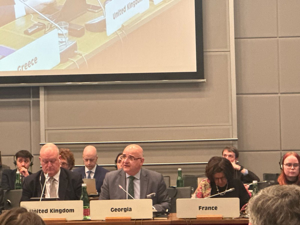 Embassy of Georgia in Austria/Mission to OSCE/UN tweet media