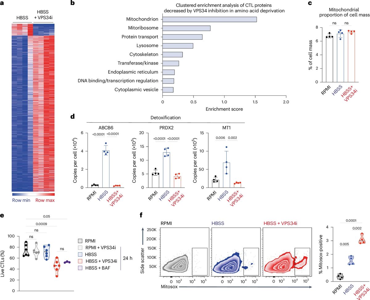 Waggoner Lab (@labwaggoner) on Twitter photo Autophagy repression by antigen and cytokines shapes mitochondrial, migration and effector machinery in CD8 T cells <a href="/NatImmunol/">Nature Immunology</a> <a href="/LindaVSinclair/">Linda Sinclair</a> <a href="/LabDac/">Cantrell Lab</a>
nature.com/articles/s4159…
Preview: nature.com/articles/s4159… Autophagy repression by antigen and cytokines shapes mitochondrial, migration and effector machinery in CD8 T cells <a href="/NatImmunol/">Nature Immunology</a> <a href="/LindaVSinclair/">Linda Sinclair</a> <a href="/LabDac/">Cantrell Lab</a>
nature.com/articles/s4159…
Preview: nature.com/articles/s4159…