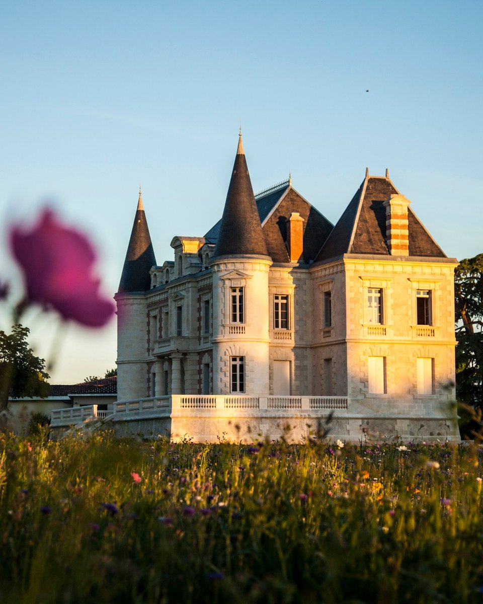 Le printemps arrive ! 🌷 C'est l'une de nos saisons préférées pour visiter les châteaux les plus emblématiques de #Bordeaux 🤫 📸 Andy Julia - Château Lamothe