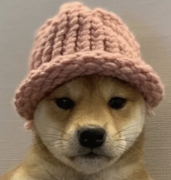 WebTrend tweet media