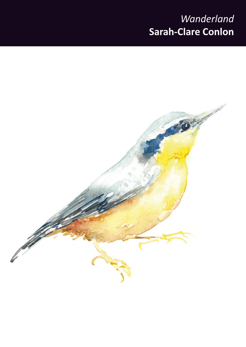 📚COVER REVEAL! My new poetry pamphlet, Wanderland, published by Red Ceilings Press, "Poetic Nuthatch" watercolour by Susan Platt.