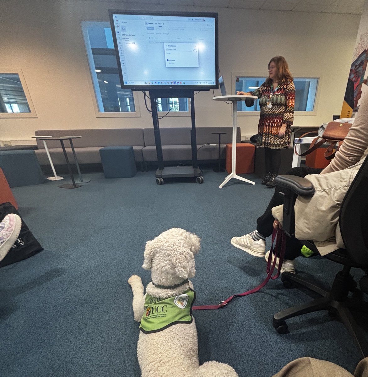 UCCITServices's tweet image. Digital Compassion Cafe earlier today in @UCCLibrary
Romeo 🐾 fully engaged with @UCCITServices Noelette’s talk.
Keep on eye on @OVPLTUCC for details of the next Digital Compassion Cafe