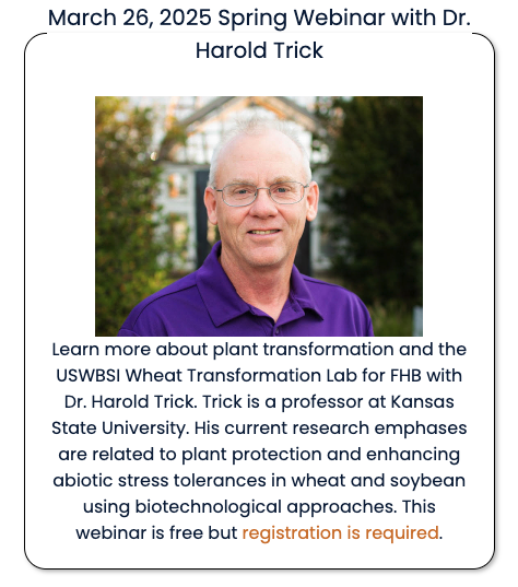 Want to learn how the USWBSI wheat transformation lab at Kansas State University can help your research? If you're a graduate student or post-doc join the GPFHB organization for their spring webinar with Dr. Harold Trick. scabusa.org/gpfhb