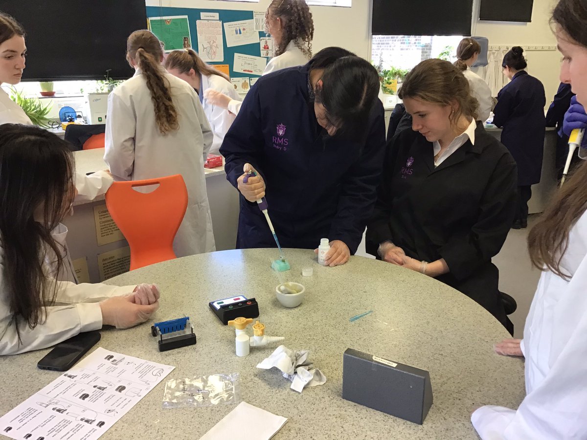 RMSBiology (@rmsbiology) on Twitter photo A brilliant group of Year 11 and Year 12 students completed the first practical session of the <a href="/DaffDNA/">The Daffodil DNA Project</a> project this afternoon showing great precision following the protocol. Thank you to <a href="/royalsociety/">The Royal Society</a> for the #partnershipgrant - part 2 A brilliant group of Year 11 and Year 12 students completed the first practical session of the <a href="/DaffDNA/">The Daffodil DNA Project</a> project this afternoon showing great precision following the protocol. Thank you to <a href="/royalsociety/">The Royal Society</a> for the #partnershipgrant - part 2