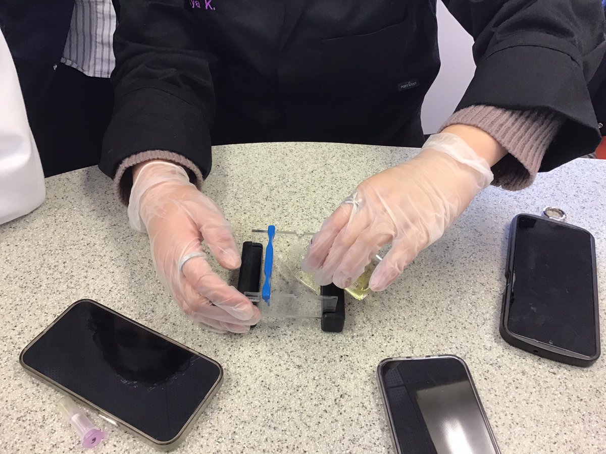 RMSBiology (@rmsbiology) on Twitter photo A brilliant group of Year 11 and Year 12 students completed the first practical session of the <a href="/DaffDNA/">The Daffodil DNA Project</a> project this afternoon showing great precision following the protocol. Thank you to <a href="/royalsociety/">The Royal Society</a> for the #partnershipgrant - part 3 A brilliant group of Year 11 and Year 12 students completed the first practical session of the <a href="/DaffDNA/">The Daffodil DNA Project</a> project this afternoon showing great precision following the protocol. Thank you to <a href="/royalsociety/">The Royal Society</a> for the #partnershipgrant - part 3