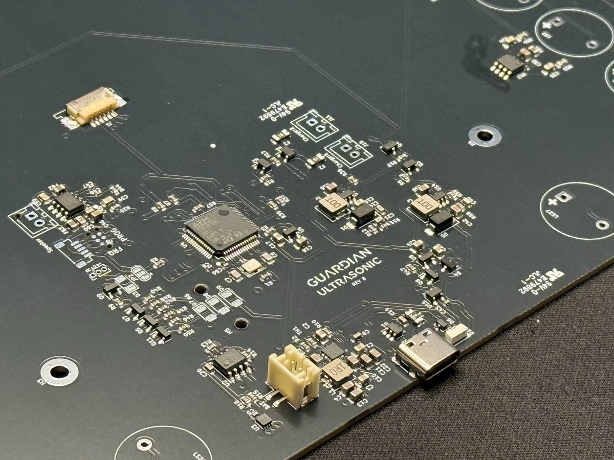 Project Guardian tweet media