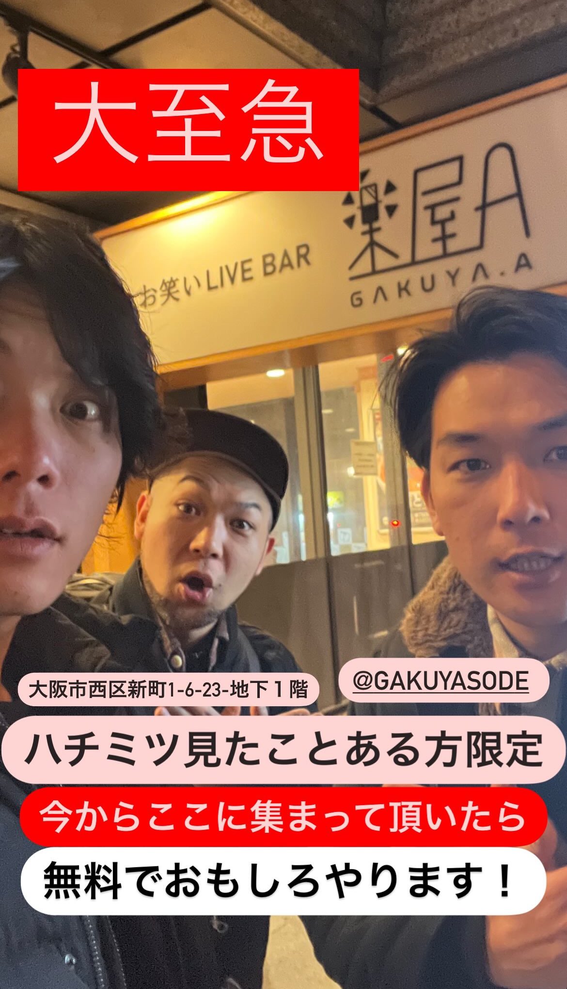 生ファラオ - Search / X