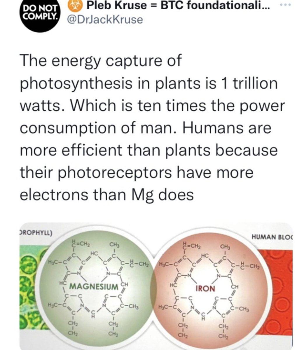 ☣️ Pleb Kruse = BTC foundationalist in exile 🟩🔆 tweet media