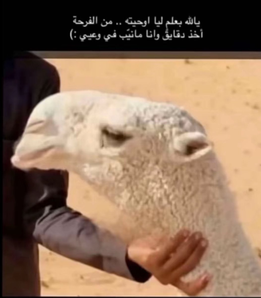 أسامه الزيادي (@nt_6k) on Twitter photo 