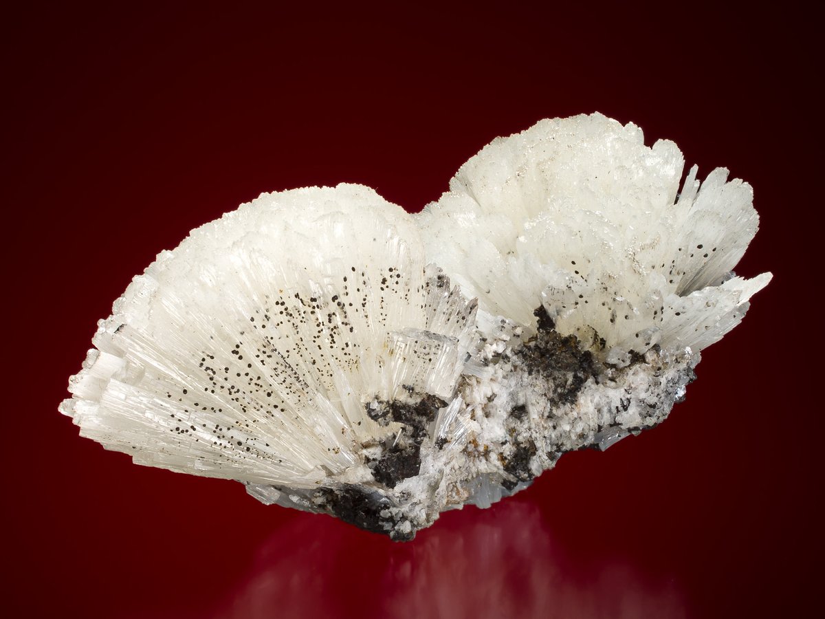 Congratulations to Michael Bainbridge, our Asst. Curator of #Mineralogy, on receiving the 2024 Carnegie Mineralogical Award for his amazing mineral photography.

Read more about his achievements: nature.ca/en/about-the-m…

<a href="/CarnegieMNH/">Carnegie Museum of Natural History</a> #MineralPhotography #TucsonGemShow