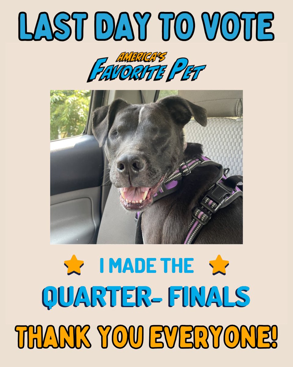 Final Day to help Fannie move on!

naturl.link/a3iQoi