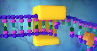 NucleusMedArt's tweet image. Genetics Lesson: DNA and RNA - DNA Replication 

Let's take a look at DNA replication, the process in which DNA copies itself. Why does DNA need to copy itself? 

#BiologyLesson #GeneticsLesson #CellDivision #ScienceLiteracy #VisualLearning #ScienceAnimations #ScienceLesson
