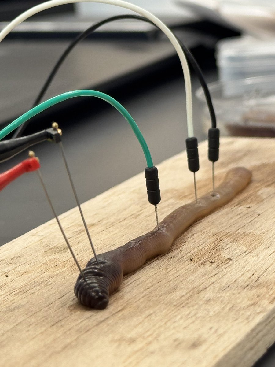 From Taylore then Jordan on today’s episode of what are your students doing right now?