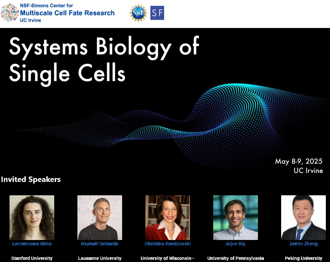 Come join us for Systems Biology of Single Cells 2025, taking place May 8-9, 2025 at UC Irvine, California.

(link and more info in thread below)