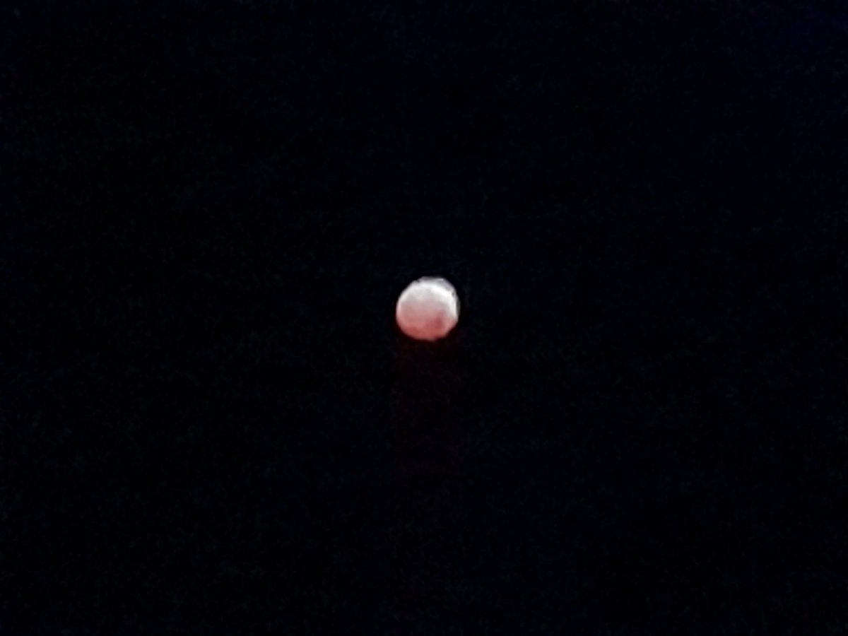 Sofía Laguna (@lagunita_84) on Twitter photo Eclipse desde Antón, Coclé, Panamá.
<a href="/oaputp/">Dirección Nacional de Ciencias Espaciales - UTP</a> <a href="/AstrofisicosA/">Astrofísicos en Acción</a> Eclipse desde Antón, Coclé, Panamá.
<a href="/oaputp/">Dirección Nacional de Ciencias Espaciales - UTP</a> <a href="/AstrofisicosA/">Astrofísicos en Acción</a>