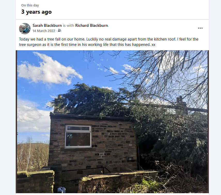 Sarah Blackburn tweet media