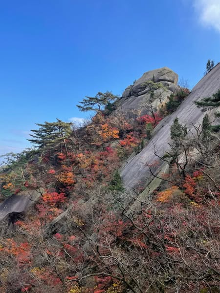 dai xi (@xi_dai79588) on Twitter photo 